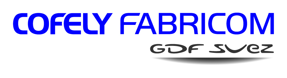 COFELY-fabricom test